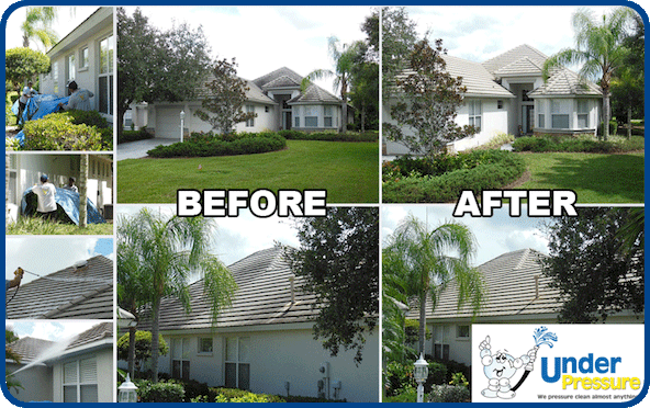Roof Cleaning Roof Cleaning